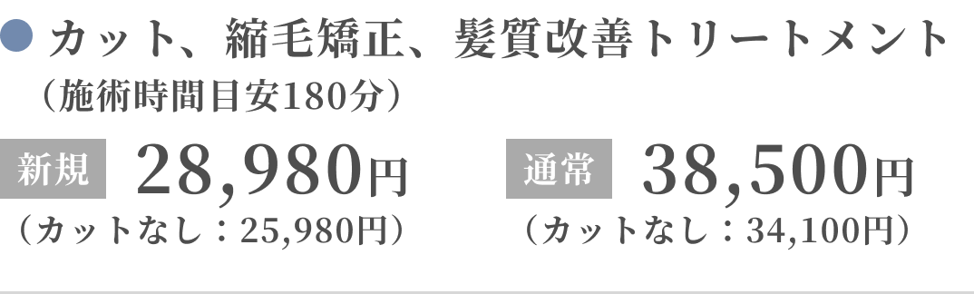カット、縮毛矯正、髪質改善トリートメント（施術時間目安180分）新規：28,980円（カットなし：25,980円）、通常：38,500円（カットなし：34,100円）