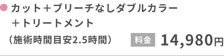 カット＋ブリーチなしダブルカラー＋トリートメント（施術時間目安2.5時間）14,980円