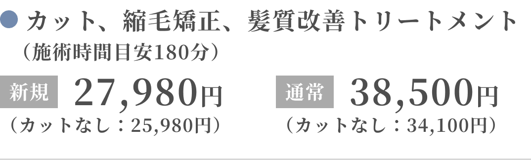カット、縮毛矯正、髪質改善トリートメント（施術時間目安180分）新規：27,980円（カットなし：25,980円）、通常：38,500円（カットなし：34,100円）