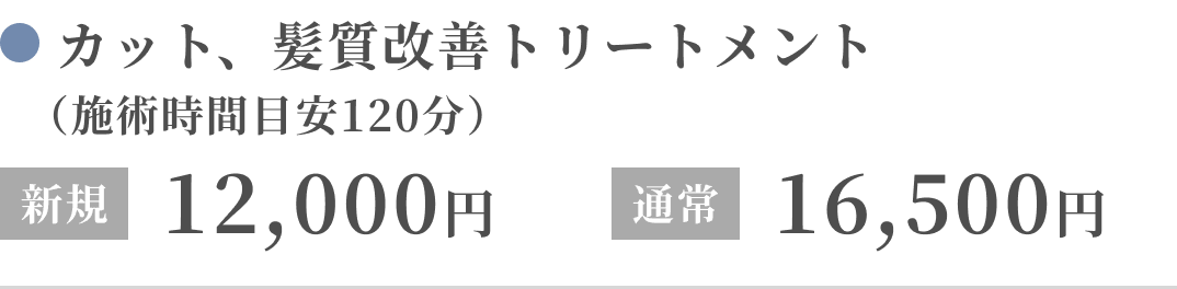 カット、髪質改善トリートメント（施術時間目安120分）新規：12,000円、通常：16,500円