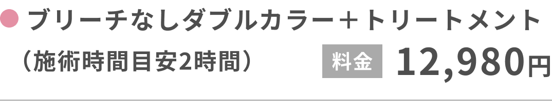 ブリーチなしダブルカラー＋トリートメント（施術時間目安2時間）12,980円