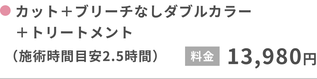 カット＋ブリーチなしダブルカラー＋トリートメント（施術時間目安2.5時間）13,980円